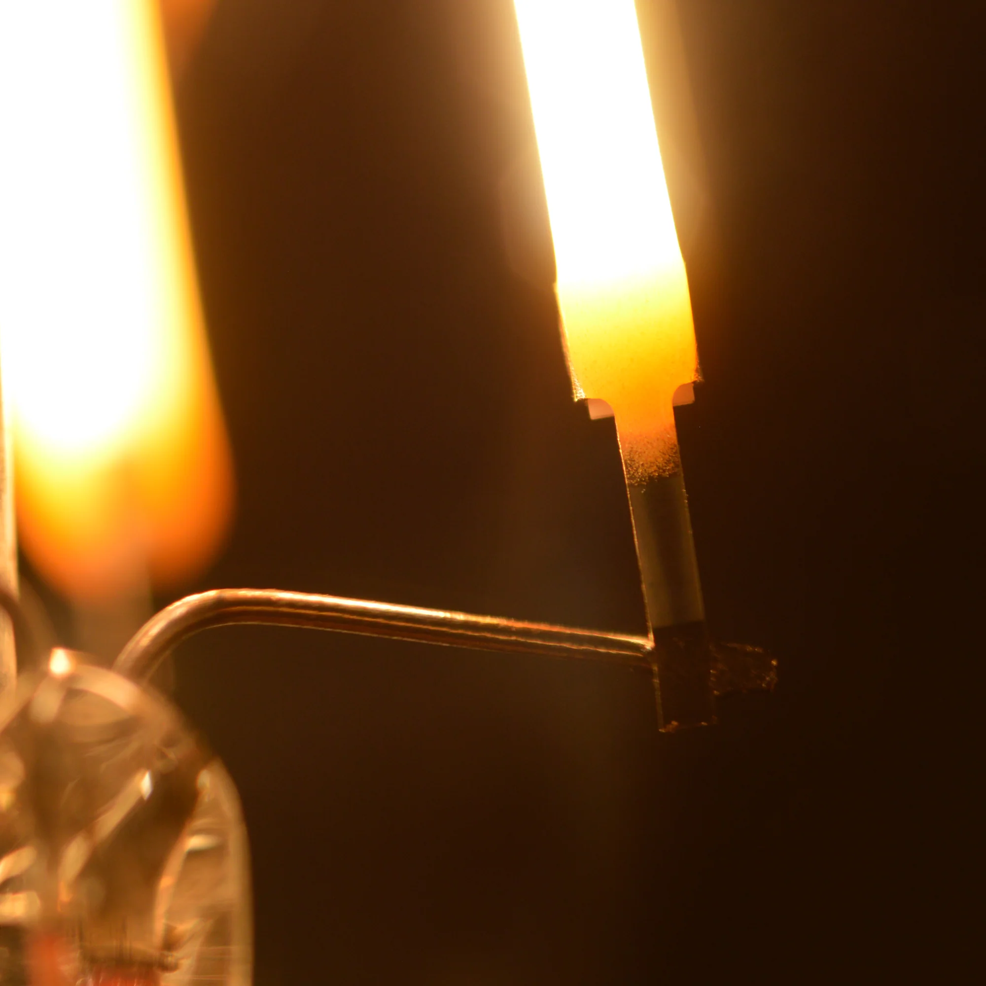 Lux24™ Circadian LED Bulb - 2400K 95 CRI E26 A19 LED Filament Bulb - Image 3