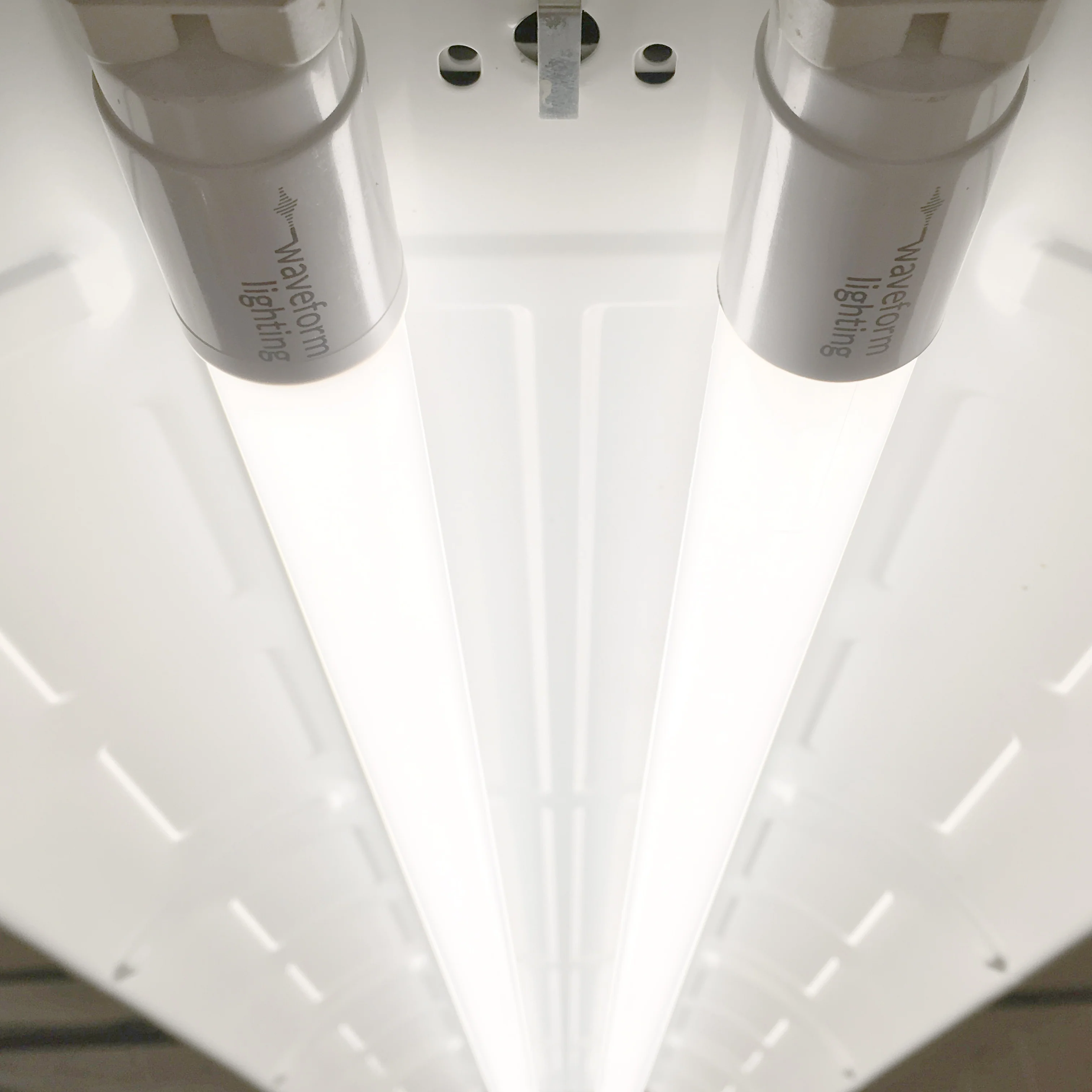 NorthLux™ 95 CRI T8 LED Tube for Art & Studio - Image 4