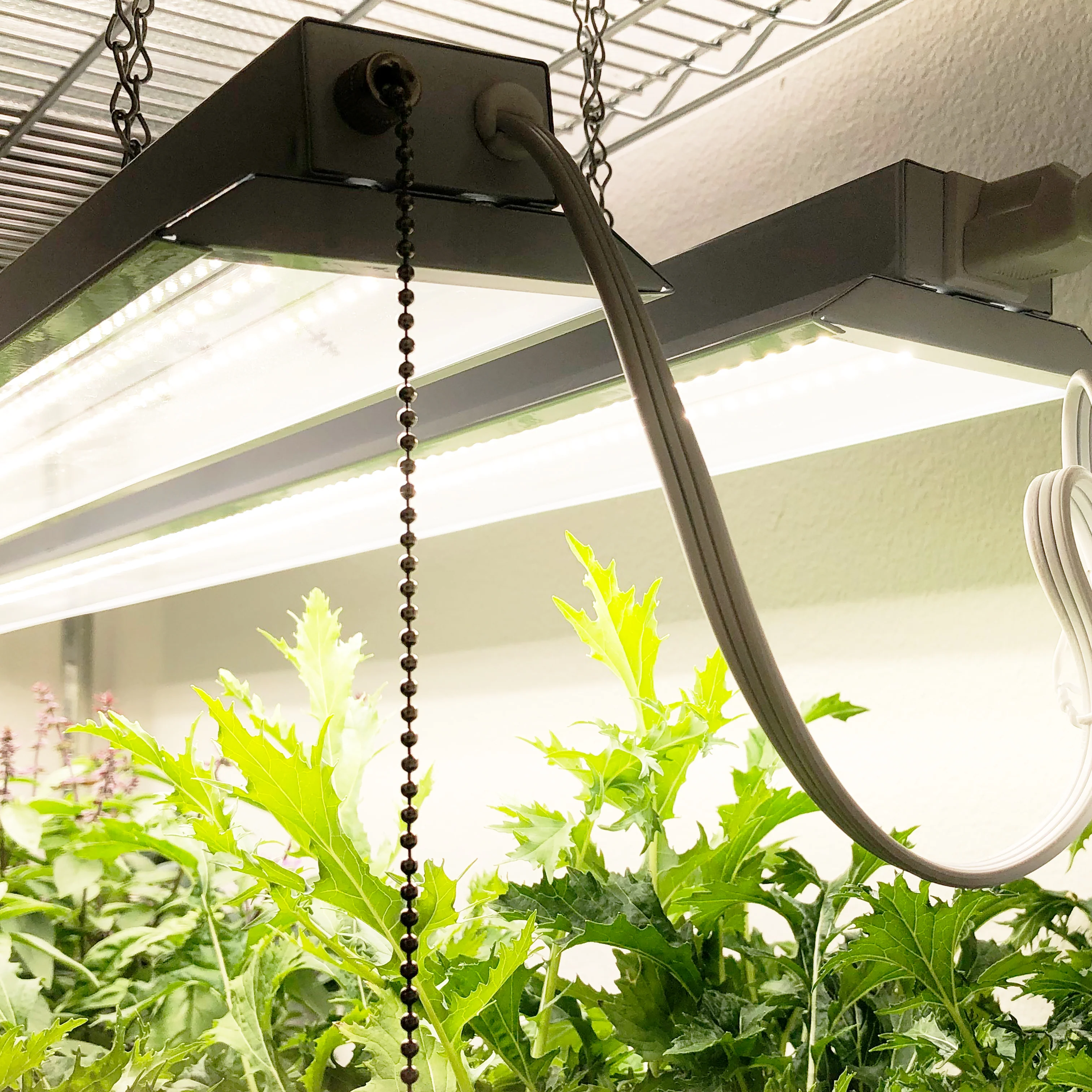 PhotonBlast™ LED Grow Light Fixture - Image 5