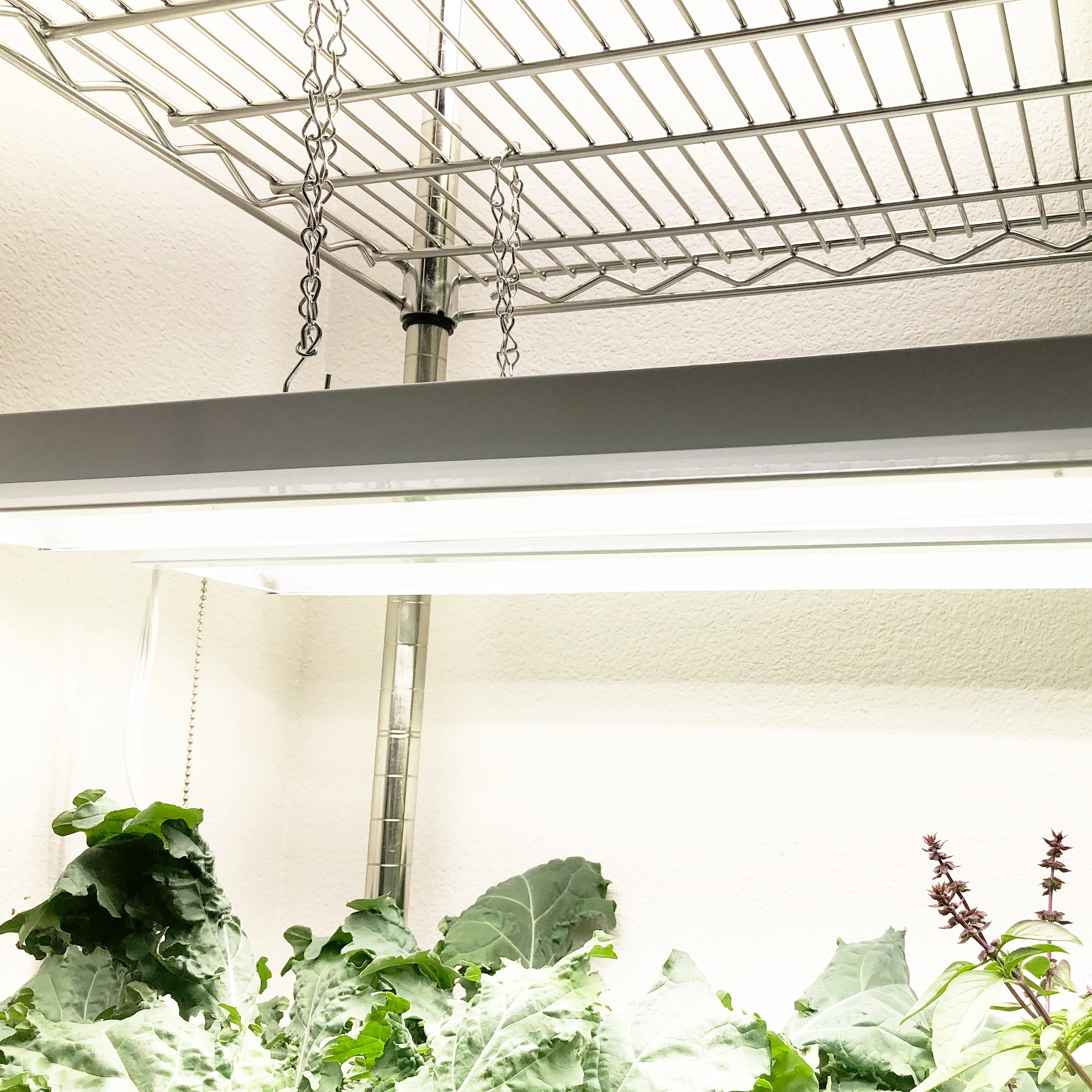 PhotonBlast™ LED Grow Light Fixture - Image 7
