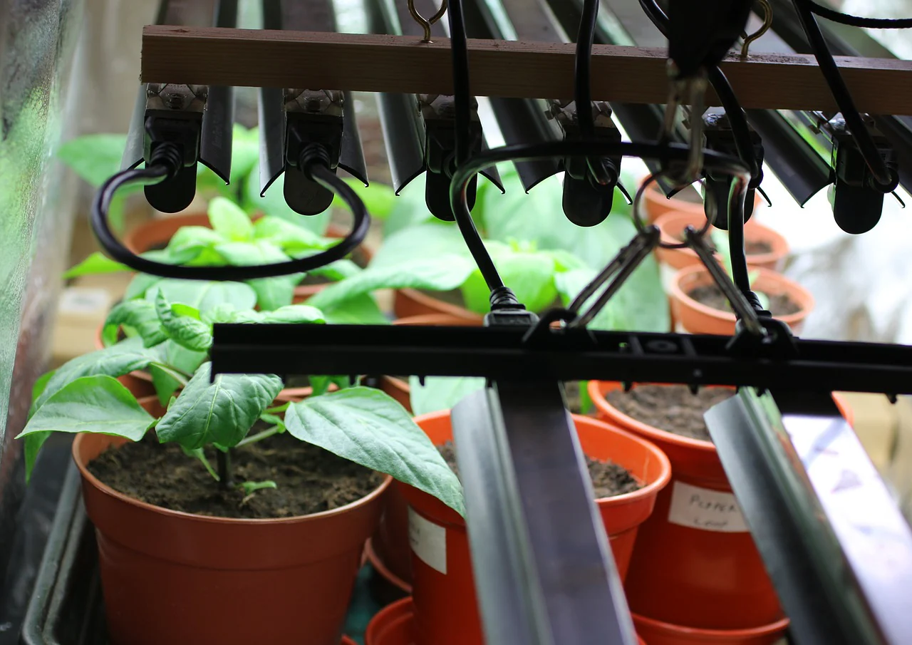 PhotonTube™ T5HO LED Grow Light Tube for Horticulture - Image 4