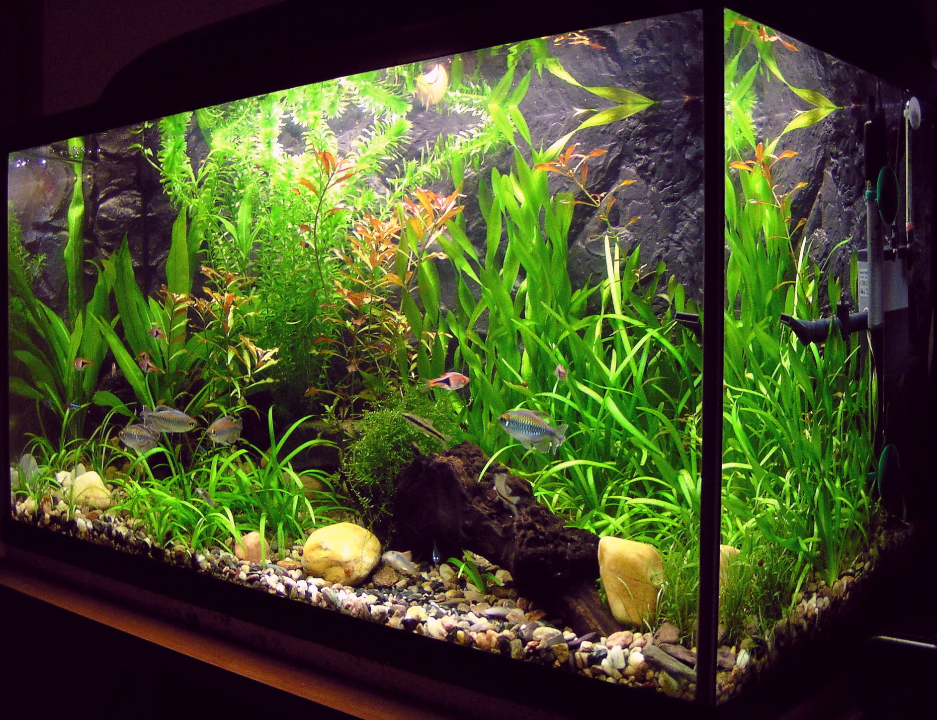 PhotonTube™ T8 LED Grow Light Tube for Planted Tank & Aquarium - Image 5